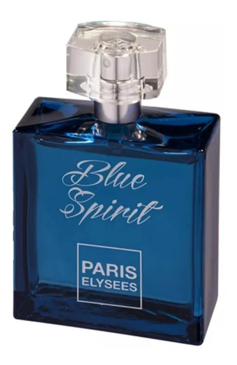 Blue Spirit Paris Elysees - Perfume Fem 100 Ml Único
