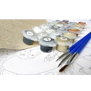 Tela de Pintura Numerada Acrílica - Faça Você Mesmo Quadro de ArteTerapia - DZ26