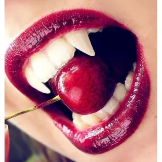 Dentadura de Vampiro com Sangue - Halloween Cosplay Fantasia Infantil e Adulto - Detadura com gengiva - Variado