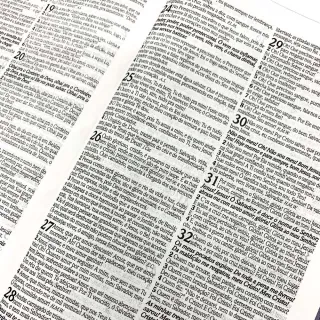 Leão de Judá - Bíblia com Harpa Média para Jovens - Único