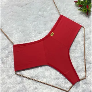 Calcinhas Conforto Fio Duplo Pala Alta Tanga Kit 3 ref 323 - Variadas