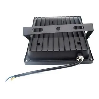 Controle Bivolt Refletor Led Smd 100w Rgb Holofote - Único