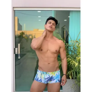 Moda praia masculina: sunga box estampada e lisa - Folhas 2