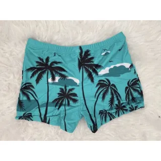 Moda Praia Masculina Sunga Coqueiro Adulto - Verde 1