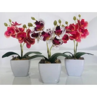Decoração com arranjo de orquídeas permanentes - Kit de três vasinhos - TRIO MODELO 5