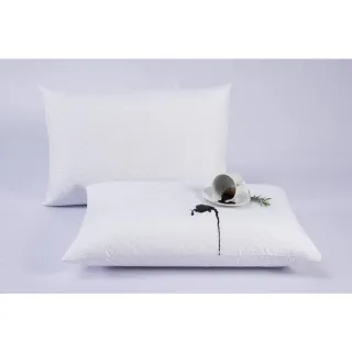 Capa protetora impermeável + KIT Travesseiro nasa Viscoelástico 11 cm Altura - Único