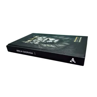 Leão de Judá - Bíblia com Harpa Média para Jovens - Único