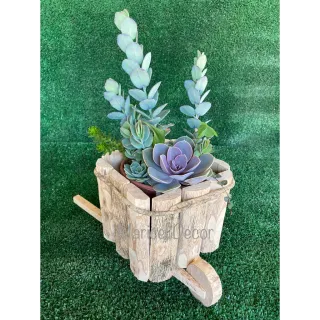 Carrinho Vaso Cachepô Madeira Café Rústico 8x8cm - Único