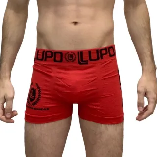 Lupo Boxer Importada Cueca Sem Costura Microfibra - sortidas