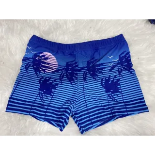 Moda Praia Masculina Sunga Coqueiro Adulto - Verde 1