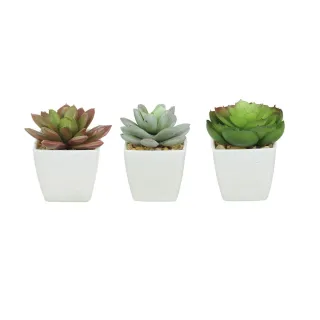 Vaso Branco Luxo Planta Artificial Suculenta - Kit com 3 Unidades - Único