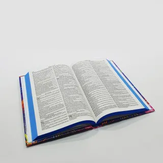 Editora CPP | Bíblia Sagrada LETRA GRANDE Com HARPA LEÃO Aquarela - Único