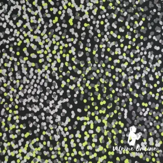 Moda Feminina Fitness: Conjunto Top + Calça Legging Plus Size Cós Alto - Estampa 06