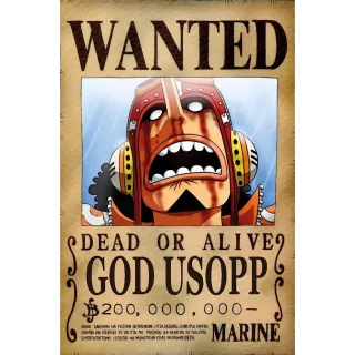 One Piece - Poster Premium - Chopper