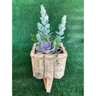 Carrinho Vaso Cachepô Madeira Café Rústico 8x8cm - Único