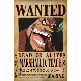 One Piece - Poster Premium - Chopper