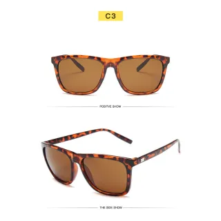 Lente UV400 Masculino Óculos de Sol - Raryel - C7