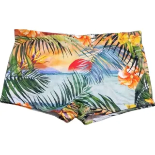 Moda Masculina Sunga Adulto Estampada e Lisa Box Praia - SUNGA RAJADA