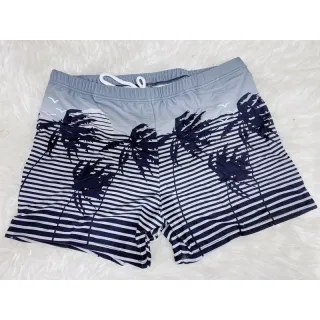 Moda Praia Masculina Sunga Coqueiro Adulto