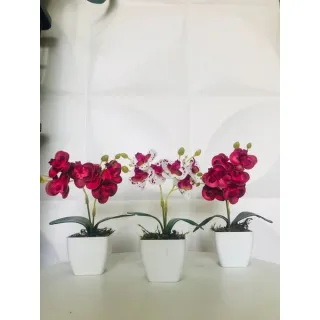 Decoração com arranjo de orquídeas permanentes - Kit de três vasinhos - TRIO MODELO 5