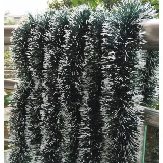 Cordão Verde Natalina - Guirlanda de Pluma para Decoração Natal - Único