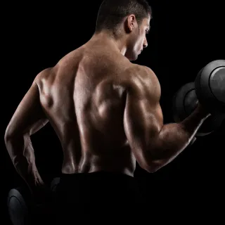 Força e Massa Muscular: Testo Premium 1500mg, 150 caps - Único