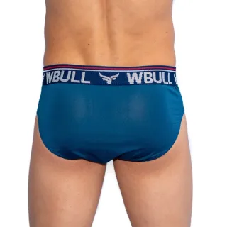 Cuecas Slip Tradicional Adulto Lisa Microfibra - Kit com 10 - M