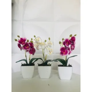Decoração com arranjo de orquídeas permanentes - Kit de três vasinhos - TRIO MODELO 5