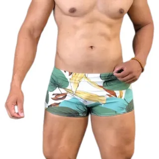 Moda Masculina Sunga Adulto Estampada e Lisa Box Praia - SUNGA RAJADA