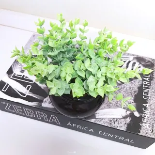 Plantinha artificial em vasinho de cerâmica preto - Único