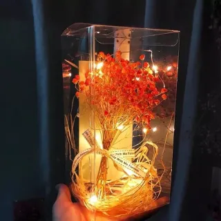 Decoração de Natal: Fada de Led 2 metros para Ano Novo, Casamento e muito mais - 5 peça