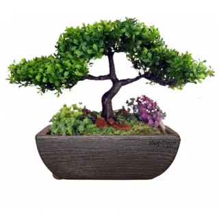 Resistente Vaso Bonsai Moderno em Polietileno 13x22x32 - Bege