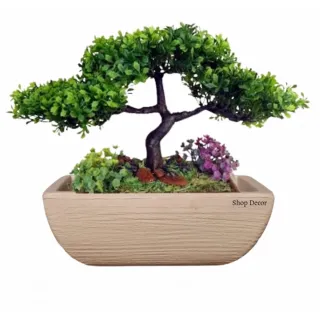 Resistente Vaso Bonsai Moderno em Polietileno 13x22x32 - Bege