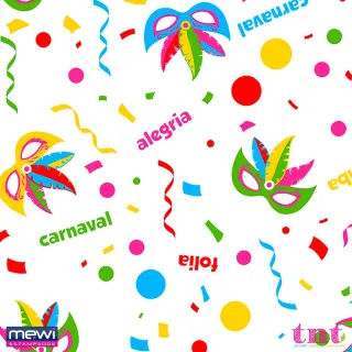 Estampado Carnaval Folia TNT - 2,00 X 1,40m - Único