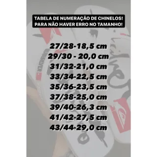 Colorido Quiksilver Sandália Chinelo Adulto e Infantil - 41/42