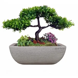 Resistente Vaso Bonsai Moderno em Polietileno 13x22x32 - Bege