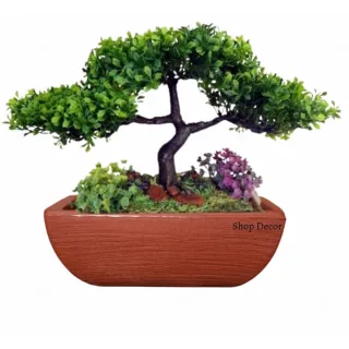 Resistente Vaso Bonsai Moderno em Polietileno 13x22x32 - Bege