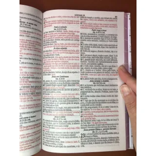 Kit 2 Bíblias Tamanho Grande Capa Dura Com Harpa - Promoção Raryel - Único