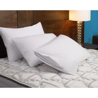 Travesseiro Nasa Latex Alto Duro Firme 70x50 - Promoção - Único