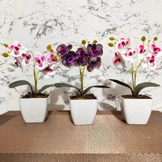 Decoração com arranjo de orquídeas permanentes - Kit de três vasinhos - TRIO MODELO 5