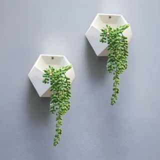 Vaso Geométrico Meia Lua Moderno - Modelo para Jardim Vertical ou Parede - 3 Branco.