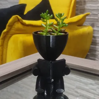 Vasinhos Decorativos para Suculentas - Kit 3 Unidades (Robert Plant) - Preto