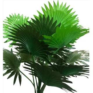 Palmeira Coqueiro Rafia Verde Grande Folhagem Leque 60cm - Único
