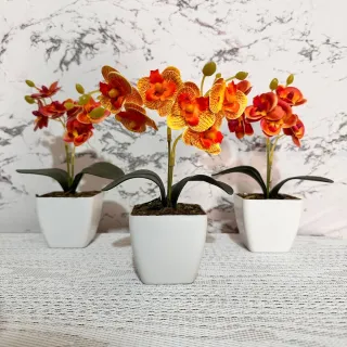 Decoração com arranjo de orquídeas permanentes - Kit de três vasinhos - TRIO MODELO 5
