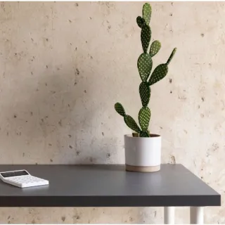 Decoração com Cacto Artificial - Promoção - Único