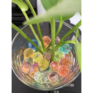 Decoração Festa Água Cresce Planta Bolinhas Gel Orbeez - Branco