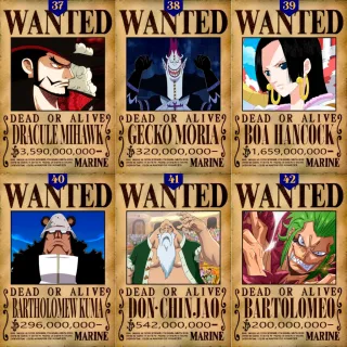 Coleção Exclusiva One Piece: Placa Decorativa Wanted Recompensa - 23