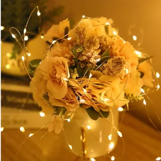 Decoração de Natal - Fio de Luzes LED 2 Metros para Casa, Casamento e Festas - Único