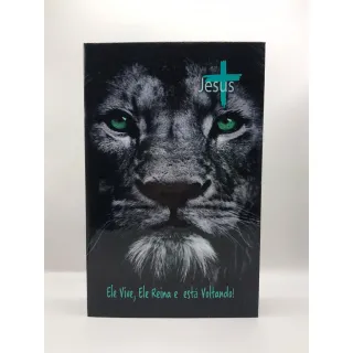 Bíblia Sagrada Capa Dura Tamanho Médio Leão Cinza 12,5x19 cm - Único