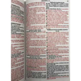 Bíblia Sagrada Capa Dura Tamanho Médio Leão Cinza 12,5x19 cm - Único